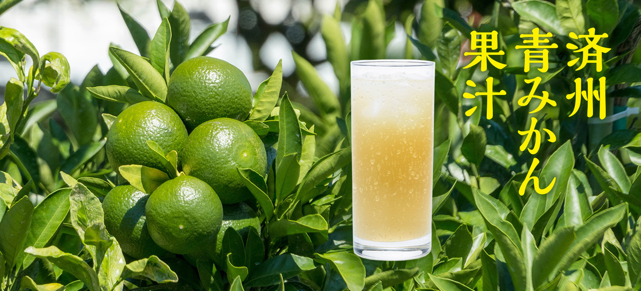 済州青みかん果汁